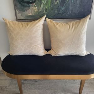Z GALLERIE Down Accent Pillows (2)